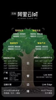 从马老师到张勇 阿里巴巴的传承计划与数据服务新蓝图