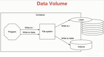 Docker存储之数据持久化 数据处理与存储支持服务
